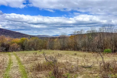 0 Brownell Road Bloomville NY 13739