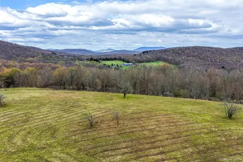 0 Brownell Road Bloomville NY 13739