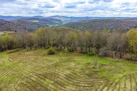 0 Brownell Road Bloomville NY 13739
