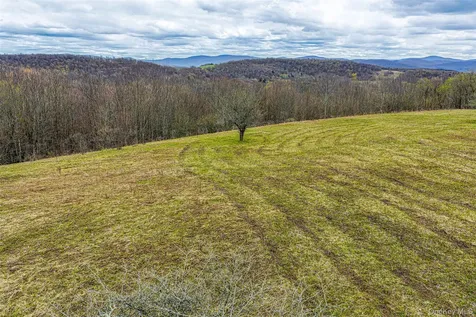 0 Brownell Road Bloomville NY 13739