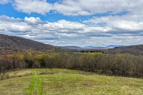 0 Brownell Road Bloomville NY 13739