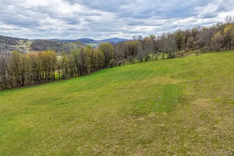 0 Brownell Road Bloomville NY 13739