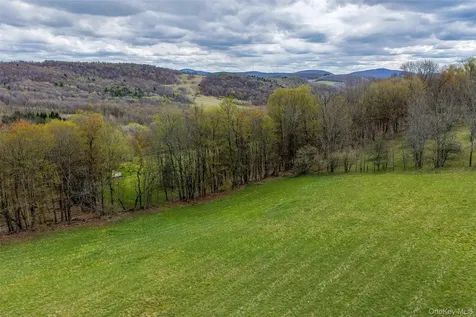 0 Brownell Road Bloomville NY 13739