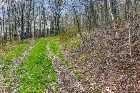 0 Brownell Road Bloomville NY 13739