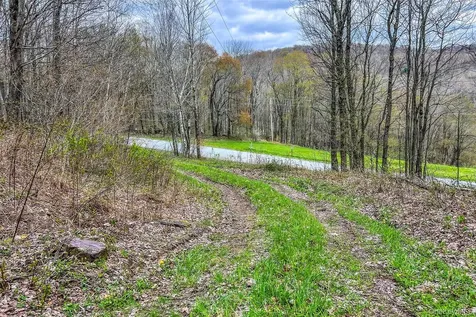 0 Brownell Road Bloomville NY 13739
