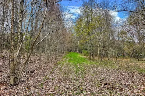 0 Brownell Road Bloomville NY 13739