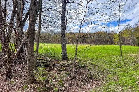 0 Brownell Road Bloomville NY 13739