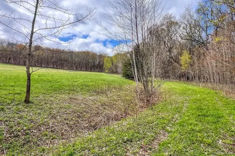 0 Brownell Road Bloomville NY 13739