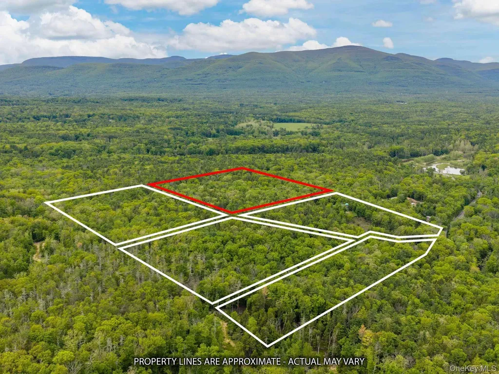 40 Mamoud Hills, Lot #4 Road Kingston NY 12401