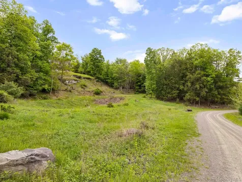 40 Mamoud Hills, Lot #4 Road Kingston NY 12401