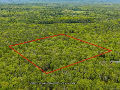 40 Mamoud Hills, Lot #4 Road Kingston NY 12401