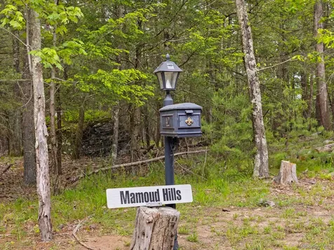 40 Mamoud Hills, Lot #4 Road Kingston NY 12401