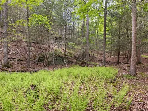 40 Mamoud Hills, Lot #4 Road Kingston NY 12401