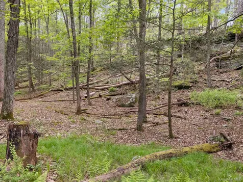 40 Mamoud Hills, Lot #4 Road Kingston NY 12401
