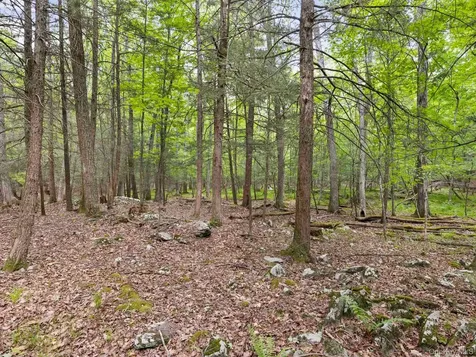 40 Mamoud Hills, Lot #4 Road Kingston NY 12401