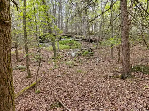 40 Mamoud Hills, Lot #4 Road Kingston NY 12401