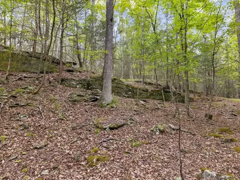 40 Mamoud Hills, Lot #4 Road Kingston NY 12401