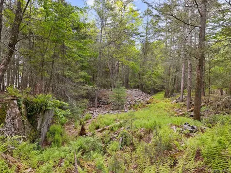 40 Mamoud Hills, Lot #4 Road Kingston NY 12401