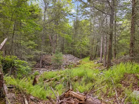 40 Mamoud Hills, Lot #4 Road Kingston NY 12401