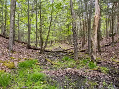 40 Mamoud Hills, Lot #4 Road Kingston NY 12401