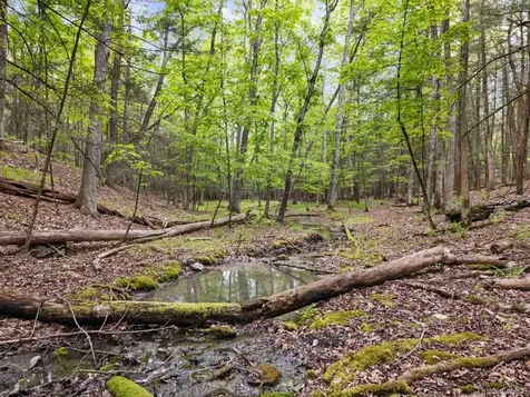 40 Mamoud Hills, Lot #4 Road Kingston NY 12401
