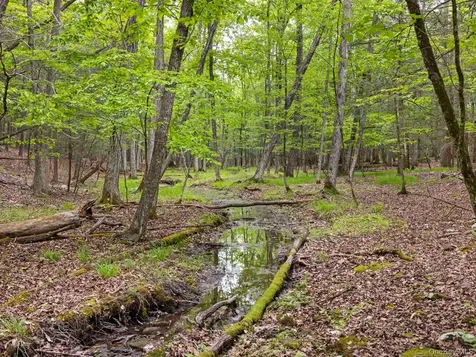 40 Mamoud Hills, Lot #4 Road Kingston NY 12401