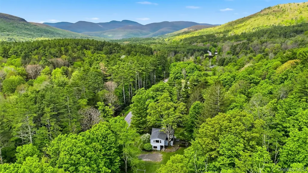 726 Wittenberg Road Mount Tremper NY 12457