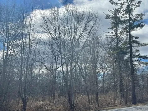 Noxon Road Lagrangeville NY 12540