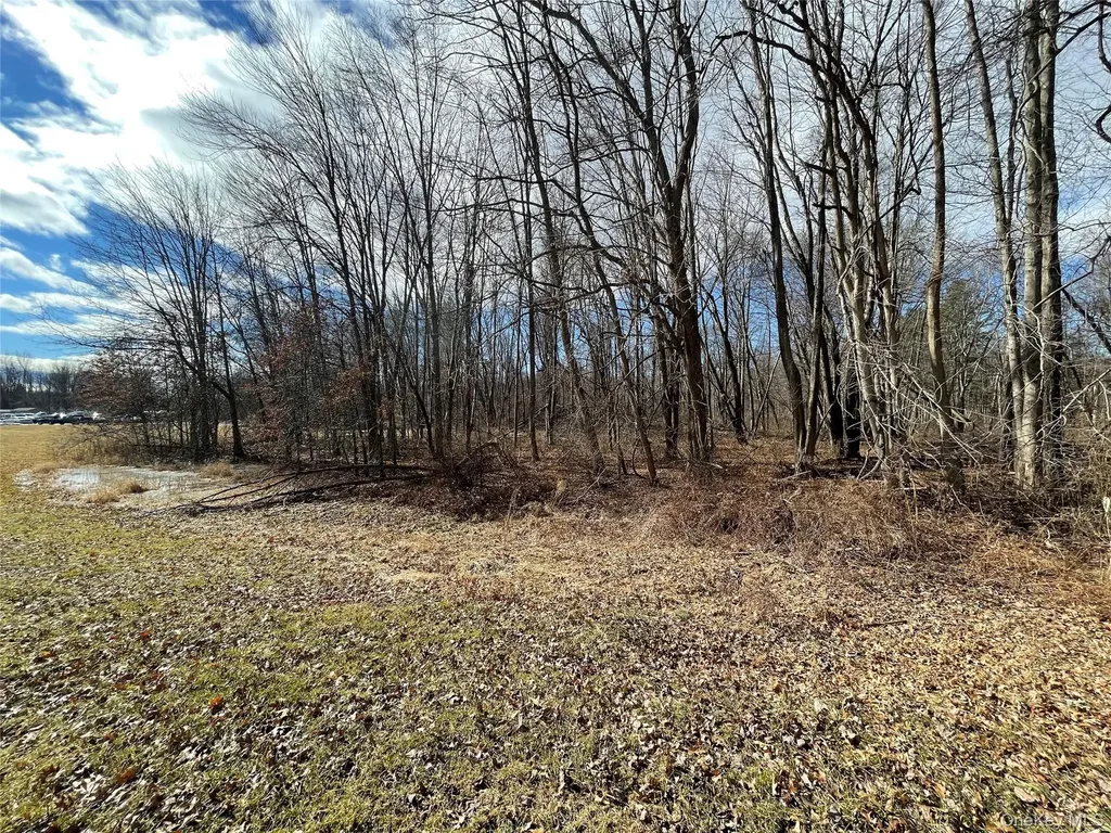RT-9G Rhinebeck NY 12572