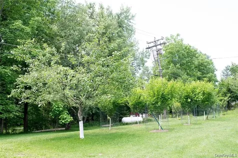48 Loomis Village Road Liberty NY 12754