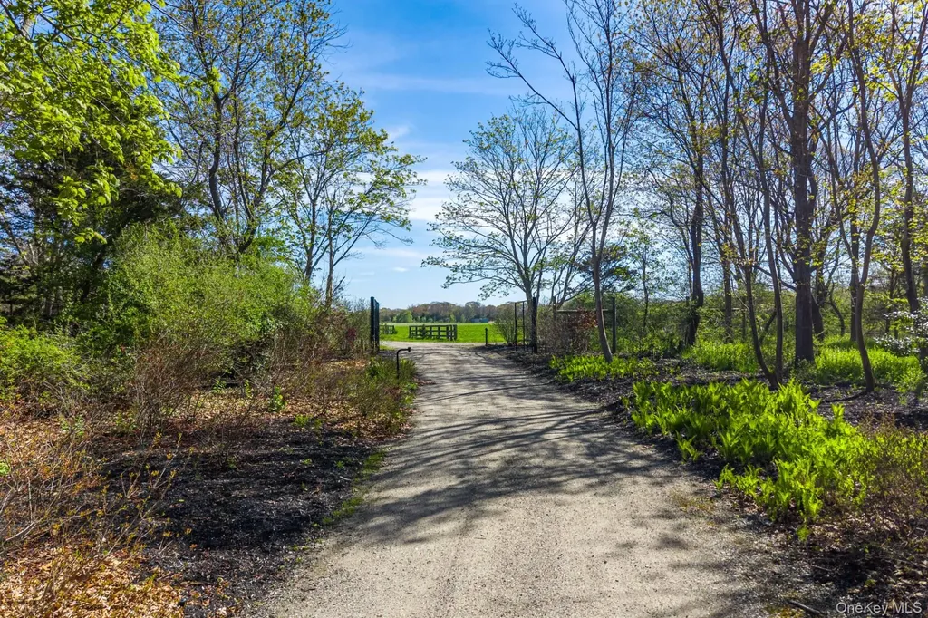 3123 & 3595 Skunk Lane Cutchogue NY 11935