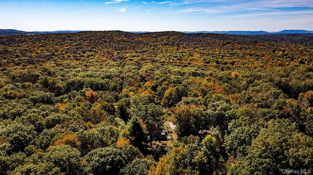 53 Tyrrel Road Pleasant Valley NY 12569