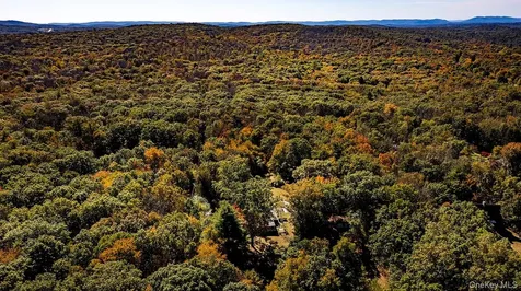 53 Tyrrel Road Pleasant Valley NY 12569