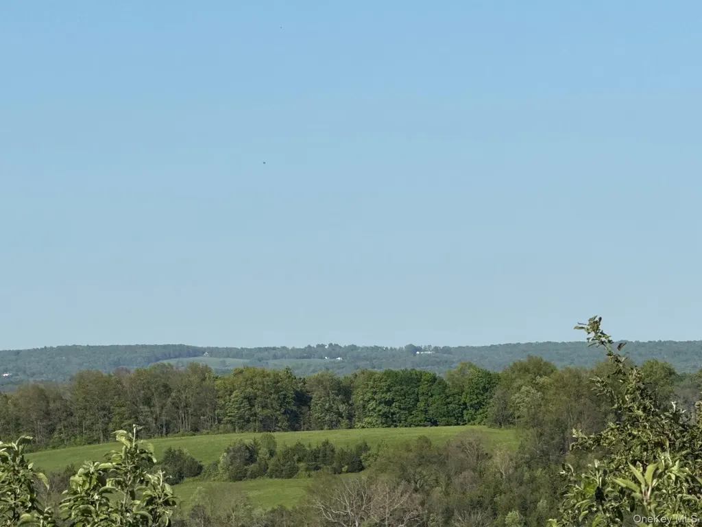 641 North Avenue Pleasant Valley NY 12569