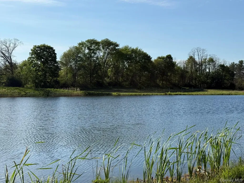 641 North Avenue Pleasant Valley NY 12569