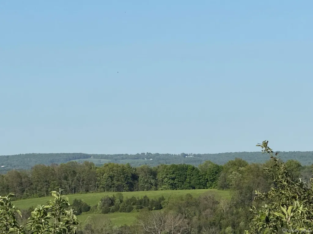641 North Avenue Pleasant Valley NY 12569