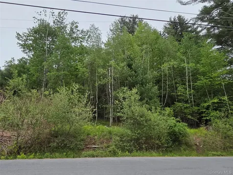 125 Zimmerman Road Loch Sheldrake NY 12733