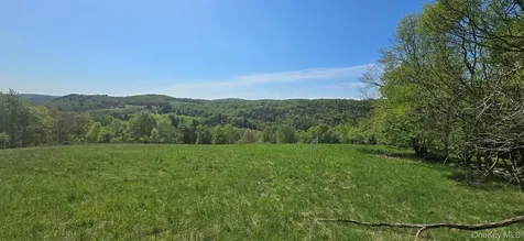 26 Beckys Hill Road Hurleyville NY 12747