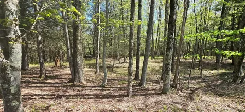 26 Beckys Hill Road Hurleyville NY 12747