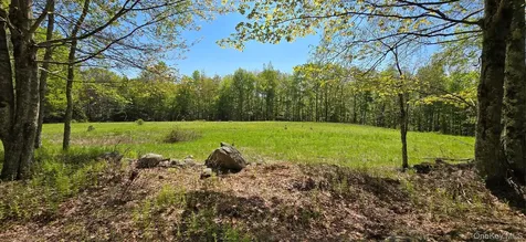 26 Beckys Hill Road Hurleyville NY 12747
