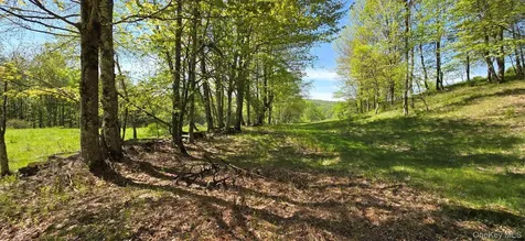 26 Beckys Hill Road Hurleyville NY 12747
