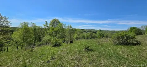 26 Beckys Hill Road Hurleyville NY 12747