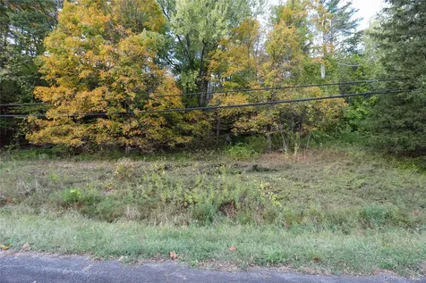 Tbd Ny-28 Route Phoenicia NY 12464