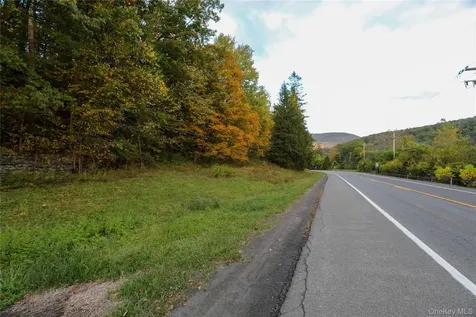 Tbd Ny-28 Route Phoenicia NY 12464