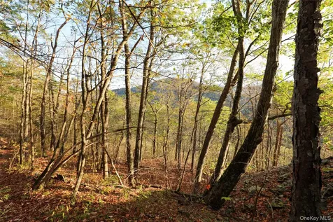 Tbd Ny-28 Route Phoenicia NY 12464