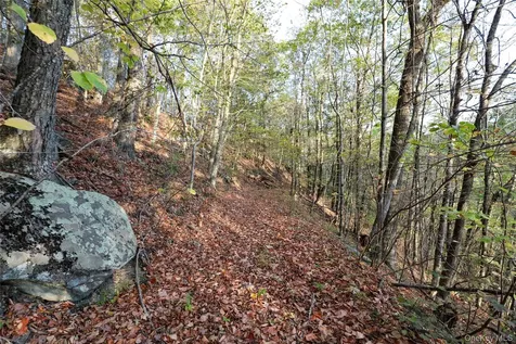 Tbd Ny-28 Route Phoenicia NY 12464