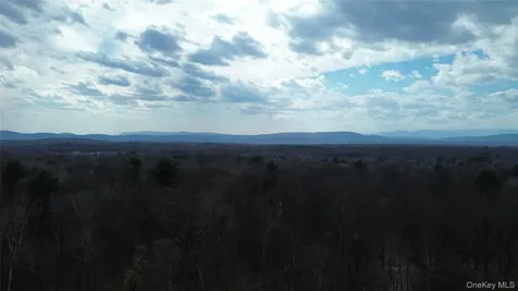 1790 Route 9g Staatsburg NY 12580