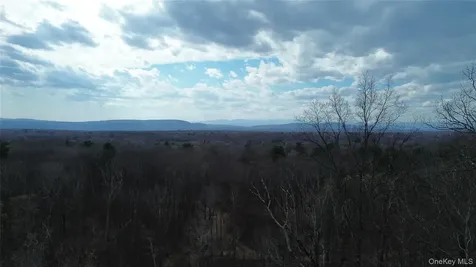 1790 Route 9g Staatsburg NY 12580