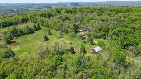 75 Stafford Road Swan Lake NY 12783