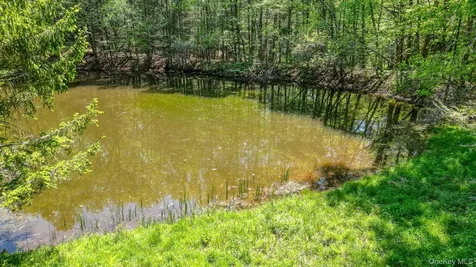 75 Stafford Road Swan Lake NY 12783